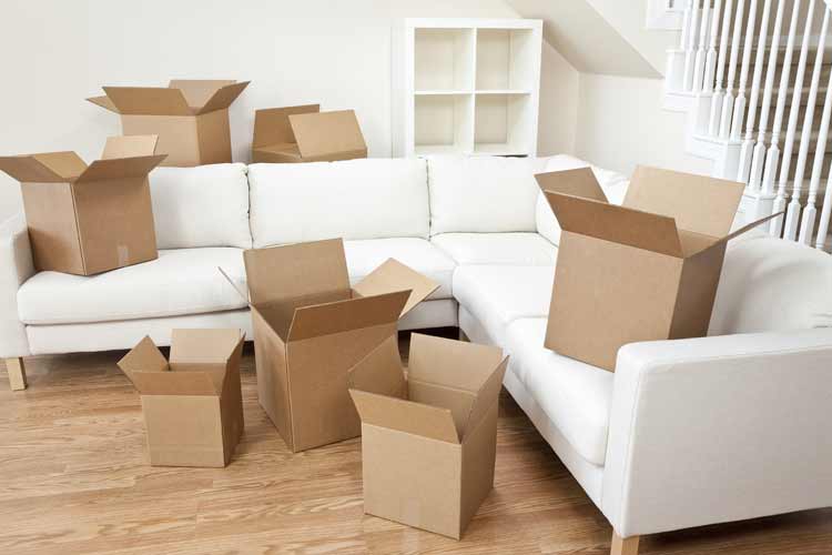 Croydon Removals