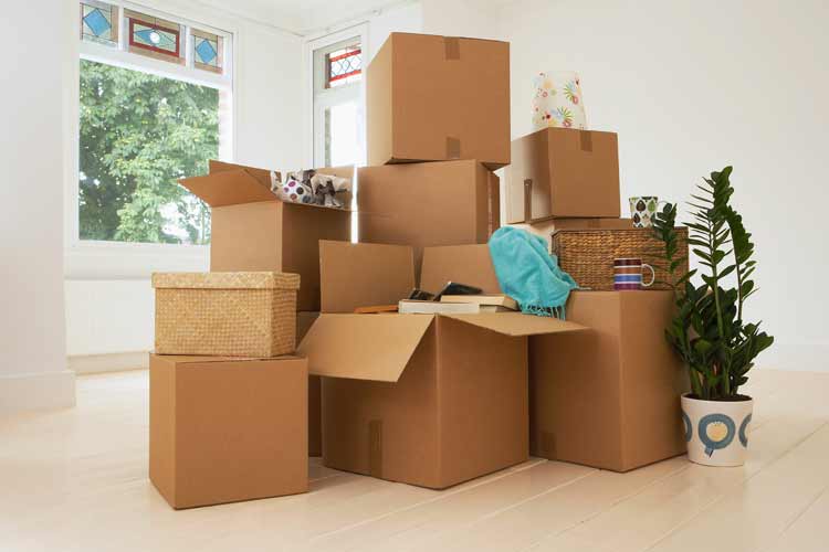Removal Companies Dulwich by Casey's Removals