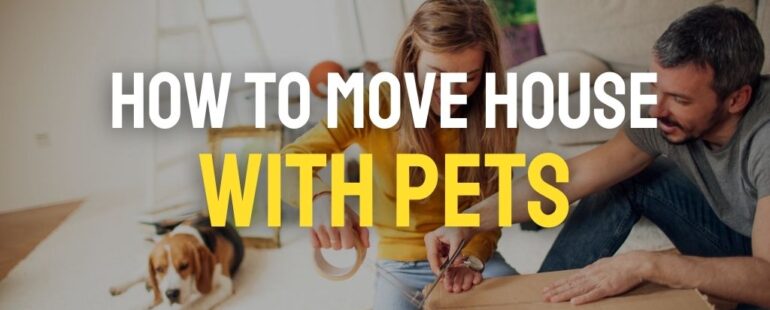 How to Move with Pets?
